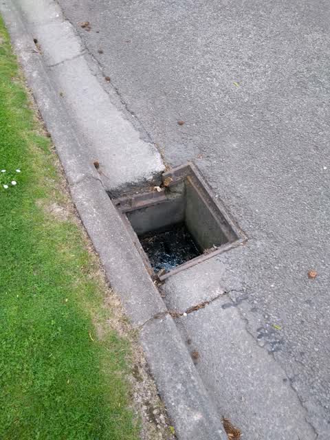 Roading/Streets, a report photo