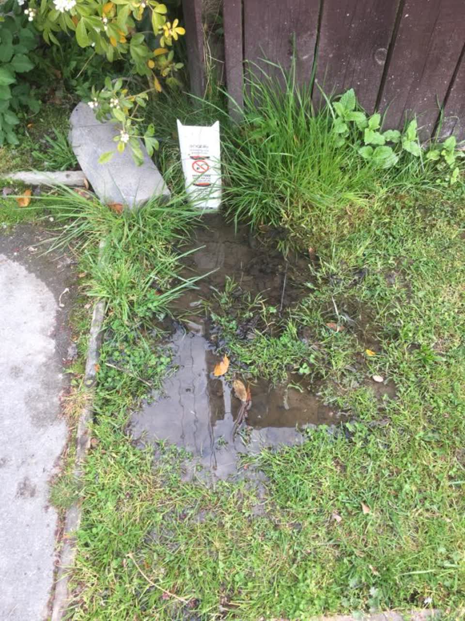 The photograph attached to this water supply report
