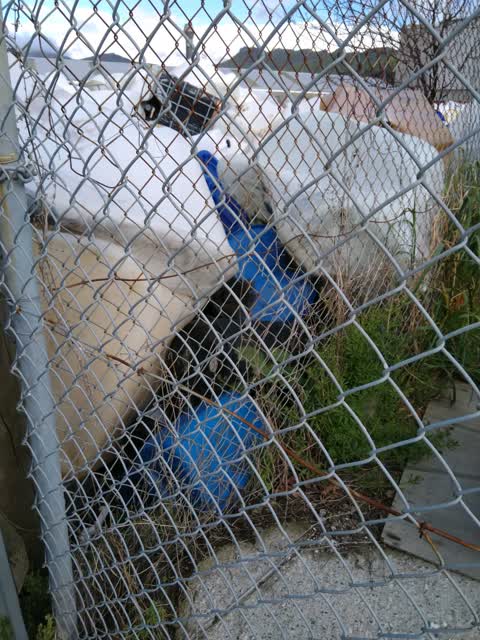 Rubbish/Recycling, a report photo