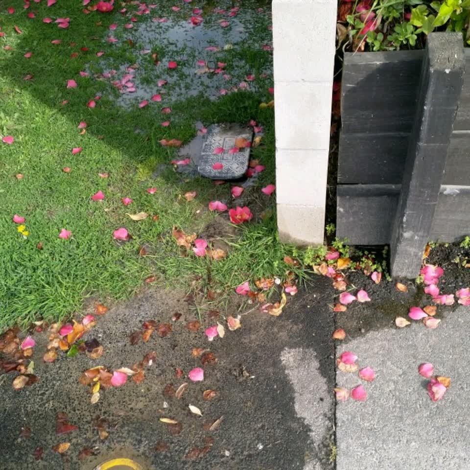The photograph attached to this water supply report