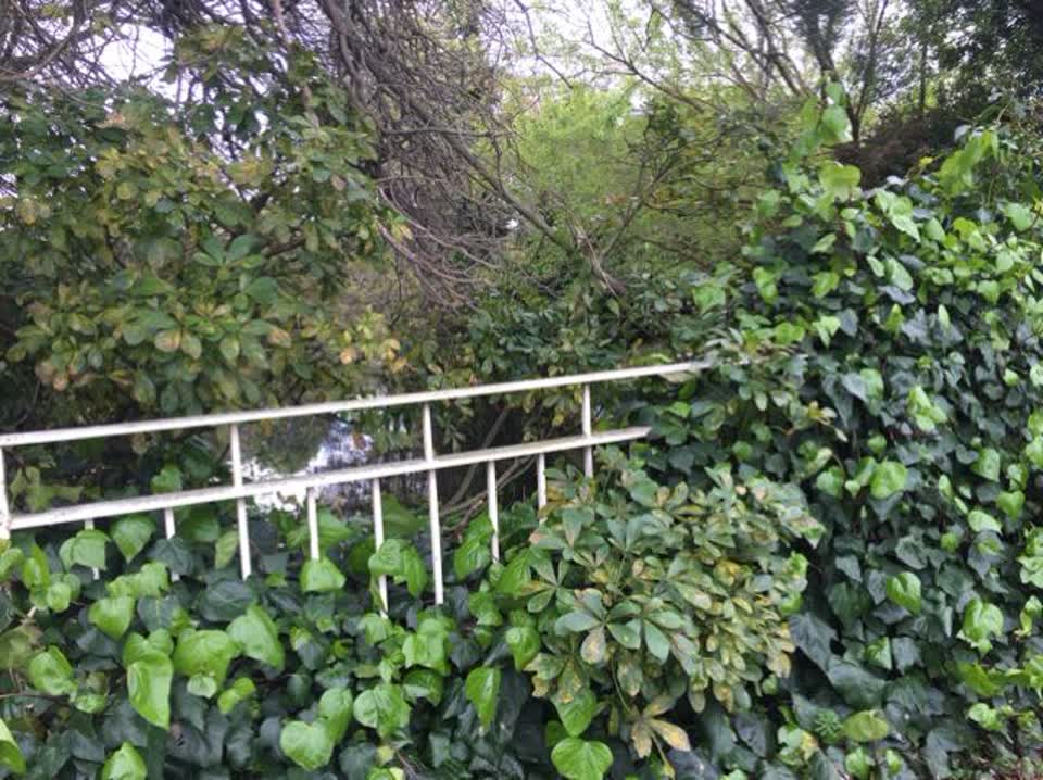The photograph attached to this parks report