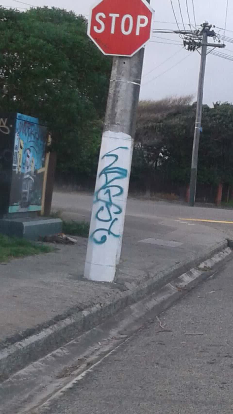 The photograph attached to this graffiti report