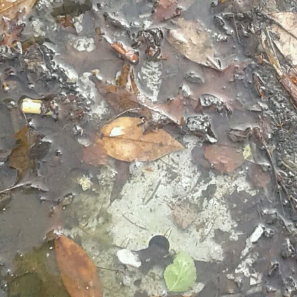 The photograph attached to this water supply report
