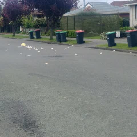 Rubbish/Recycling, a report photo