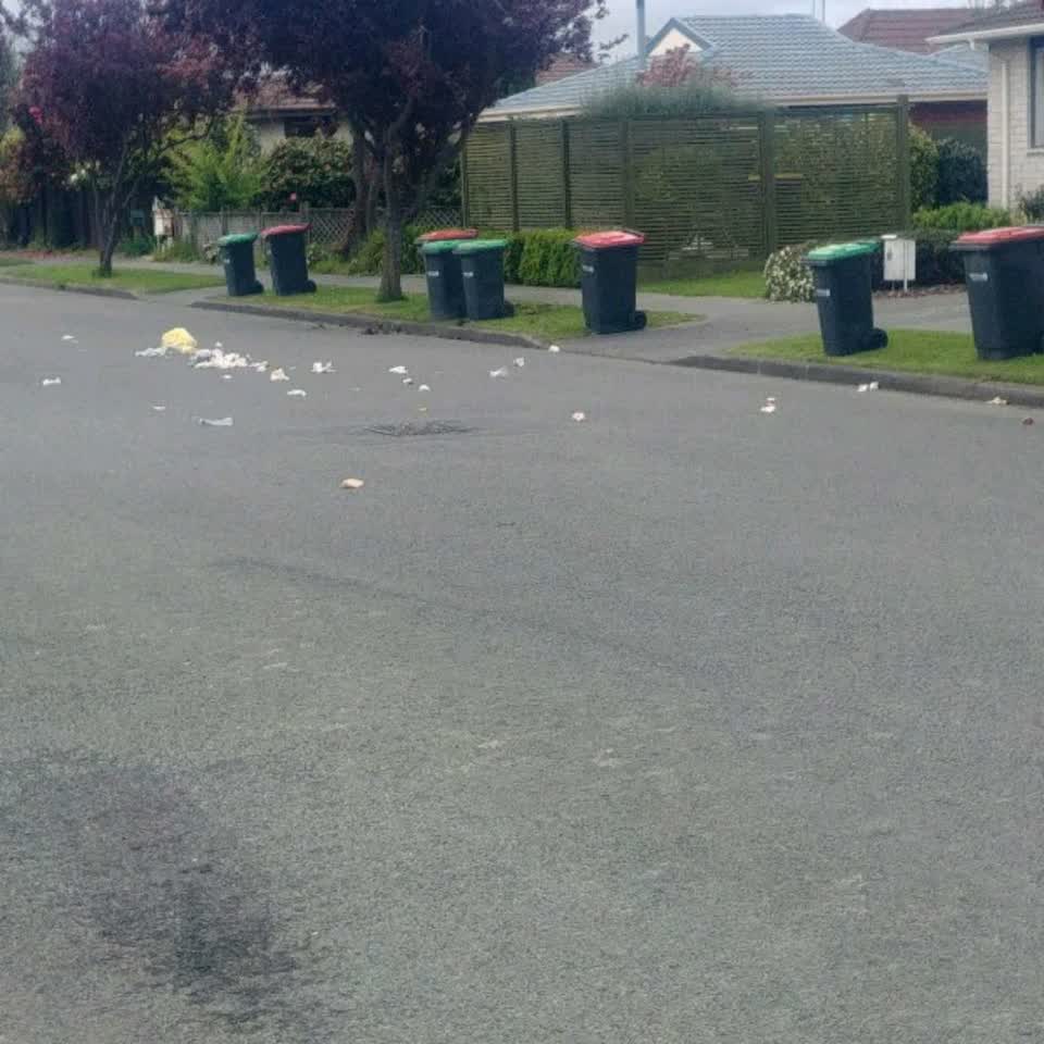 The photograph attached to this rubbish/recycling report