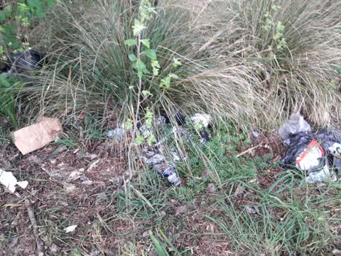Rubbish/Recycling, a report photo
