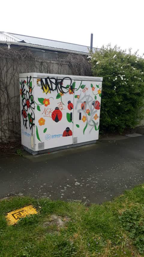 Graffiti — a report photo
