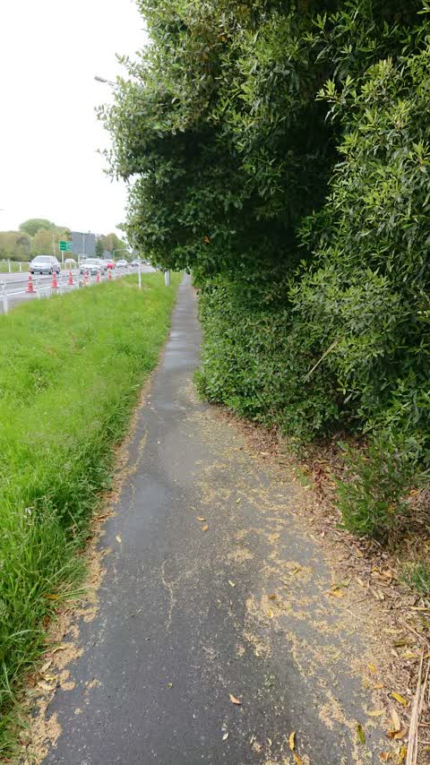 Roading/Streets, a report photo