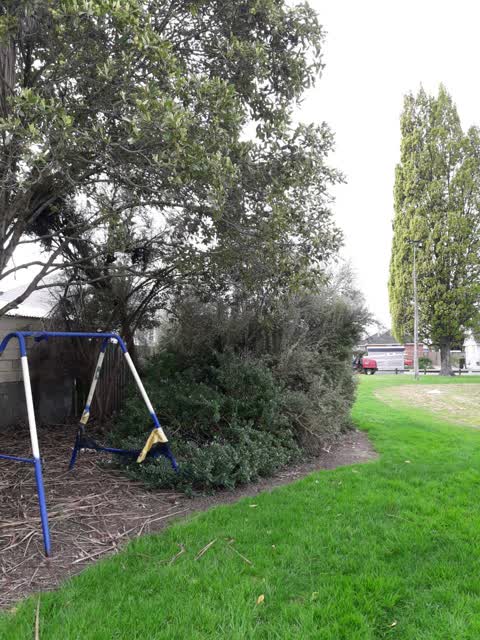 Parks, a report photo