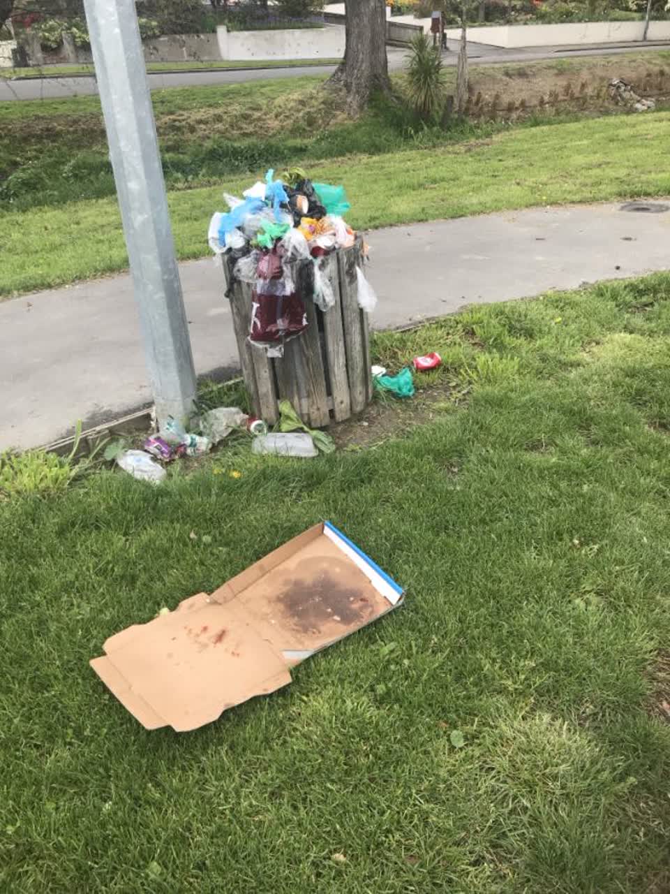 The photograph attached to this rubbish/recycling report