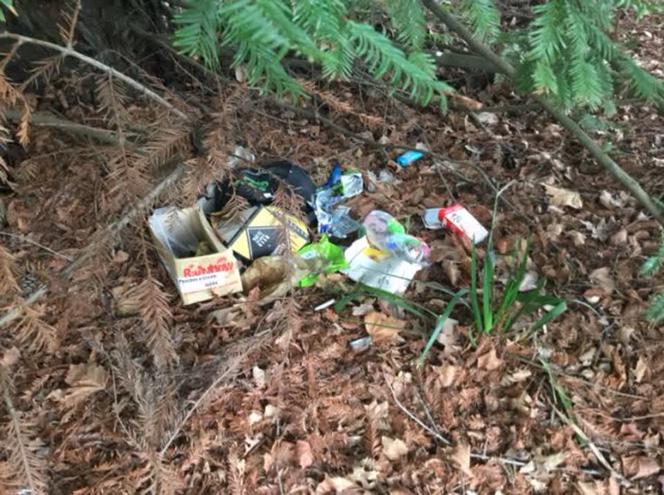 The photograph attached to this rubbish/recycling report