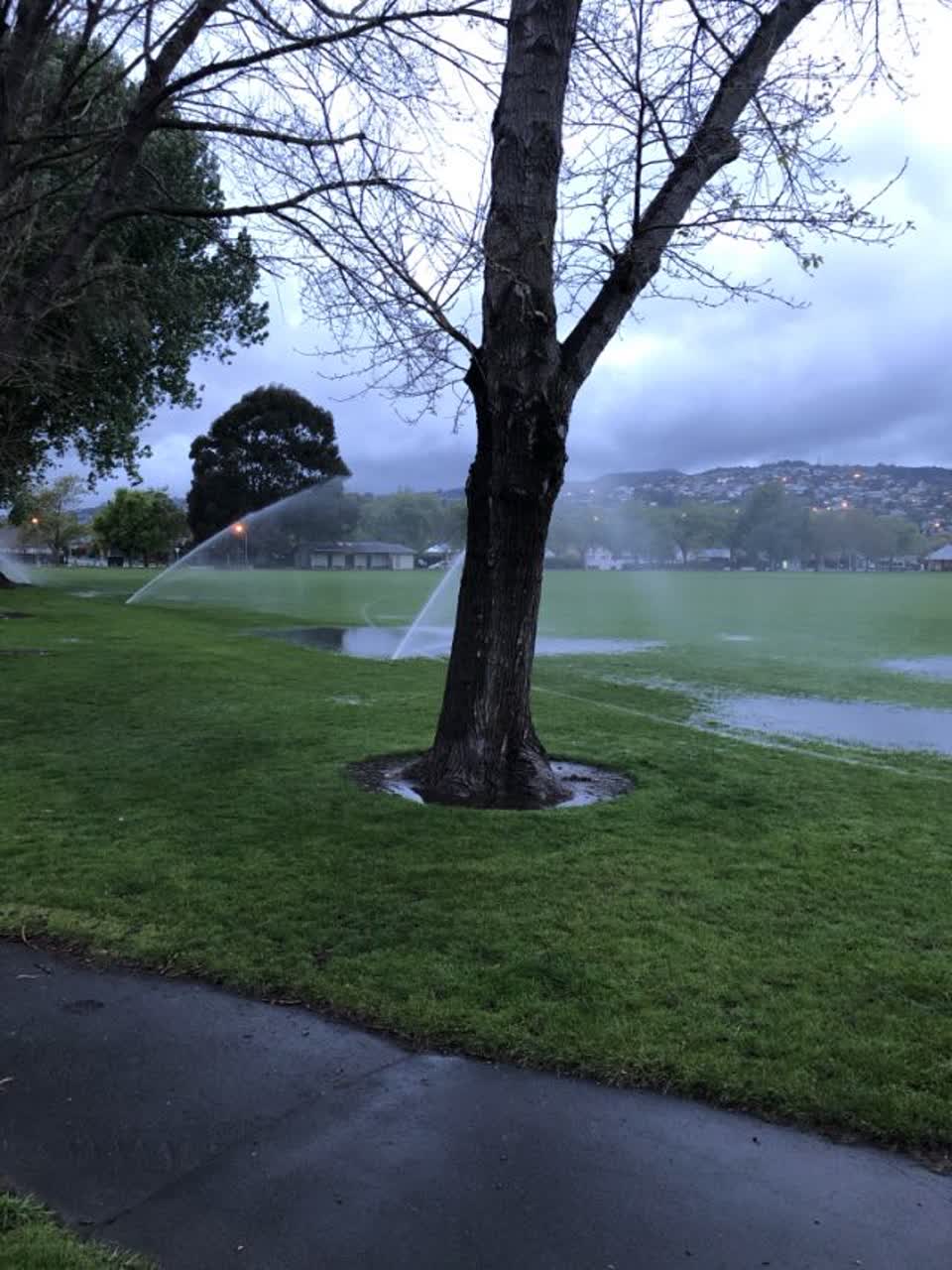 The photograph attached to this parks report