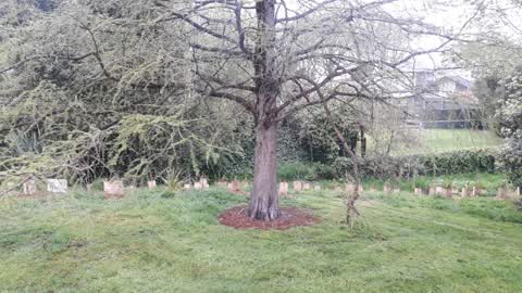 Parks, a report photo