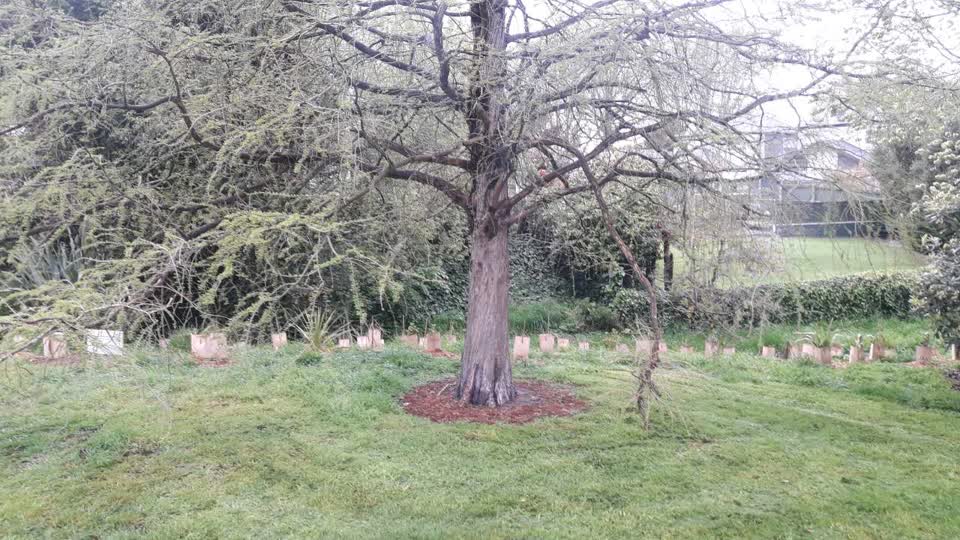 The photograph attached to this parks report