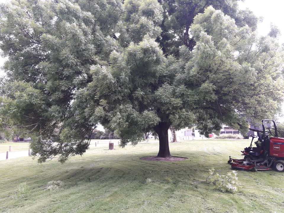 The photograph attached to this parks report