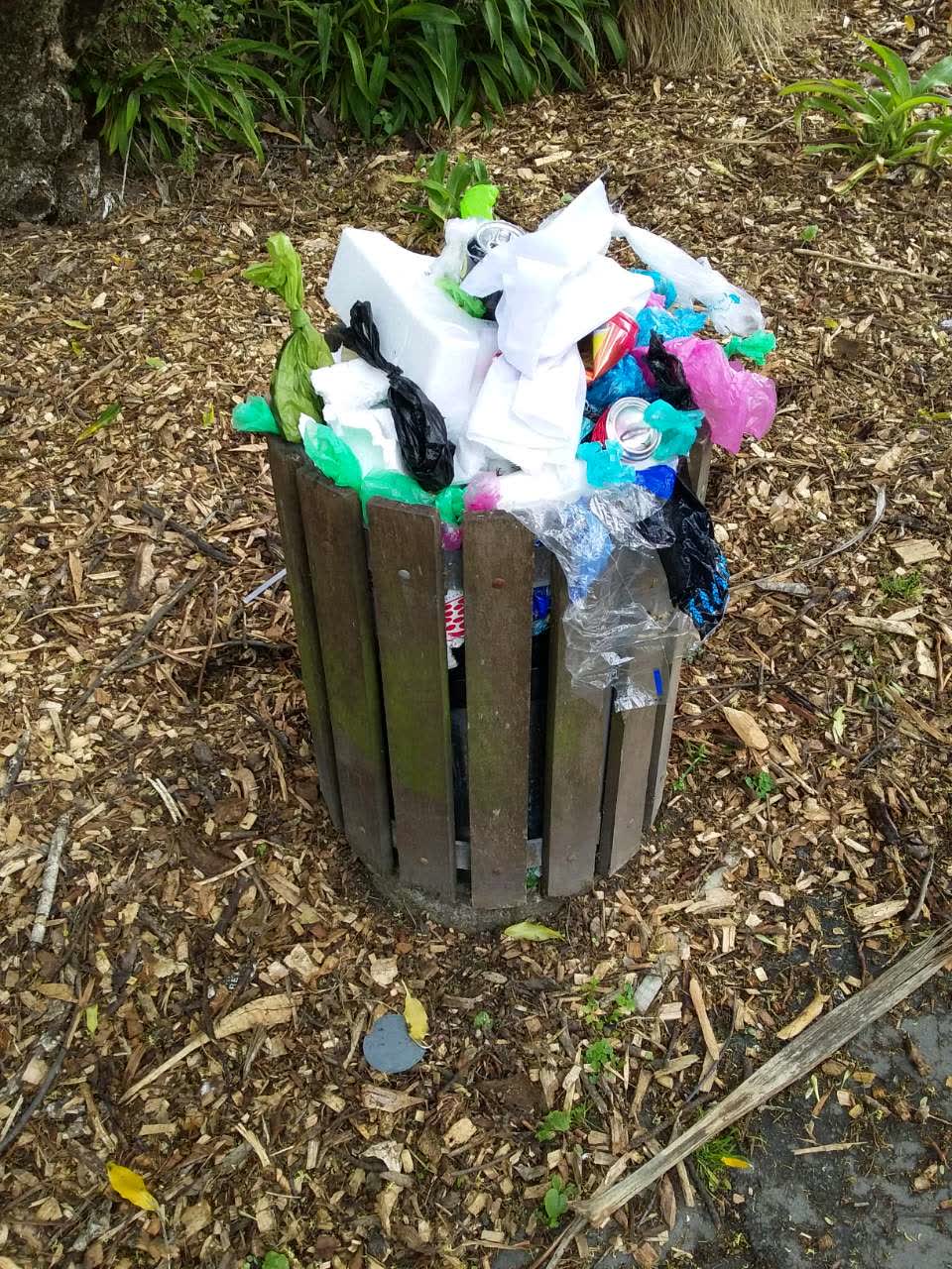 The photograph attached to this rubbish/recycling report