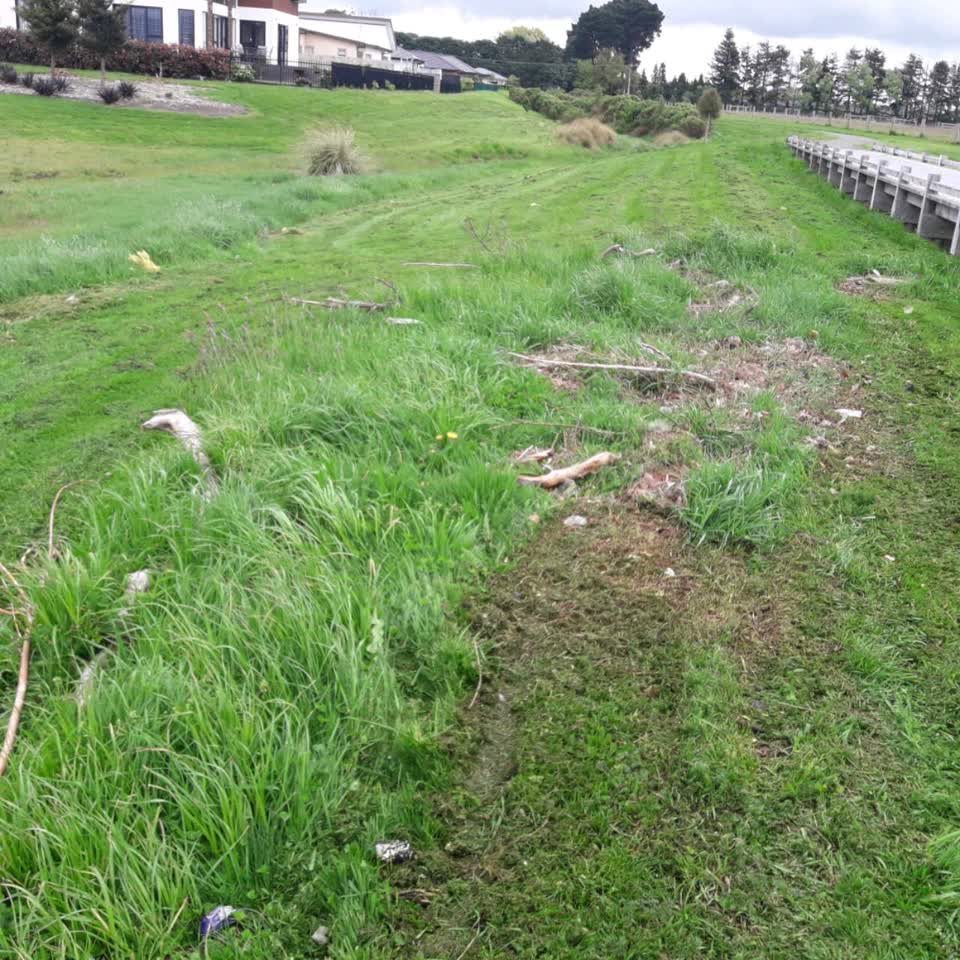 The photograph attached to this parks report