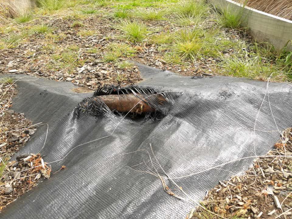 The photograph attached to this parks report