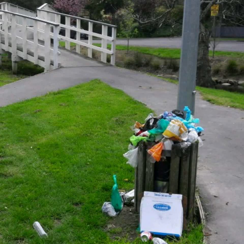 The photograph attached to this rubbish/recycling report