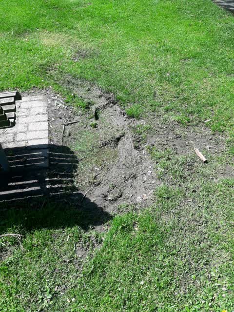 Water Supply, a report photo