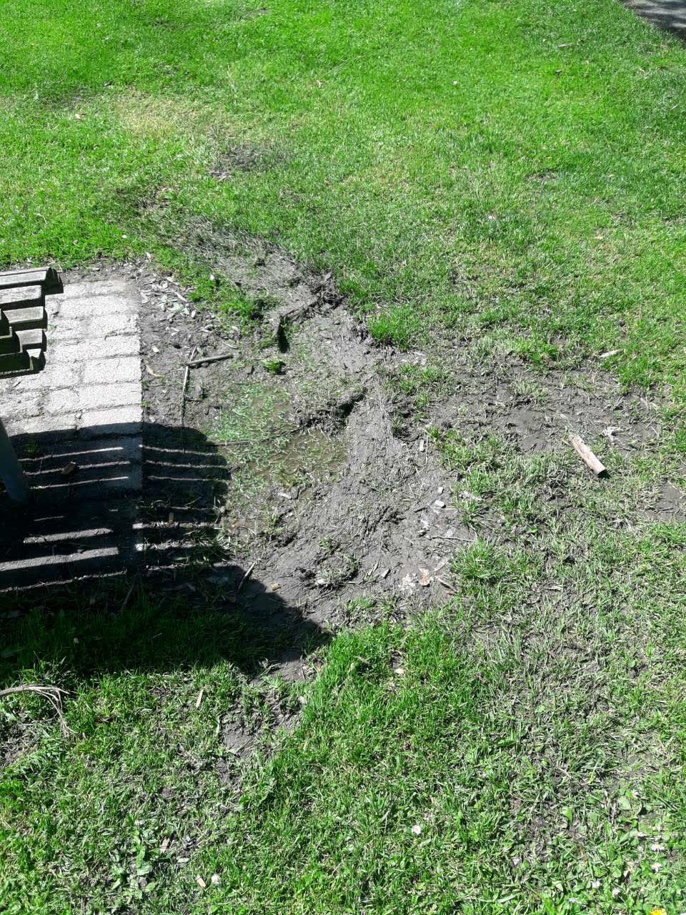 The photograph attached to this water supply report