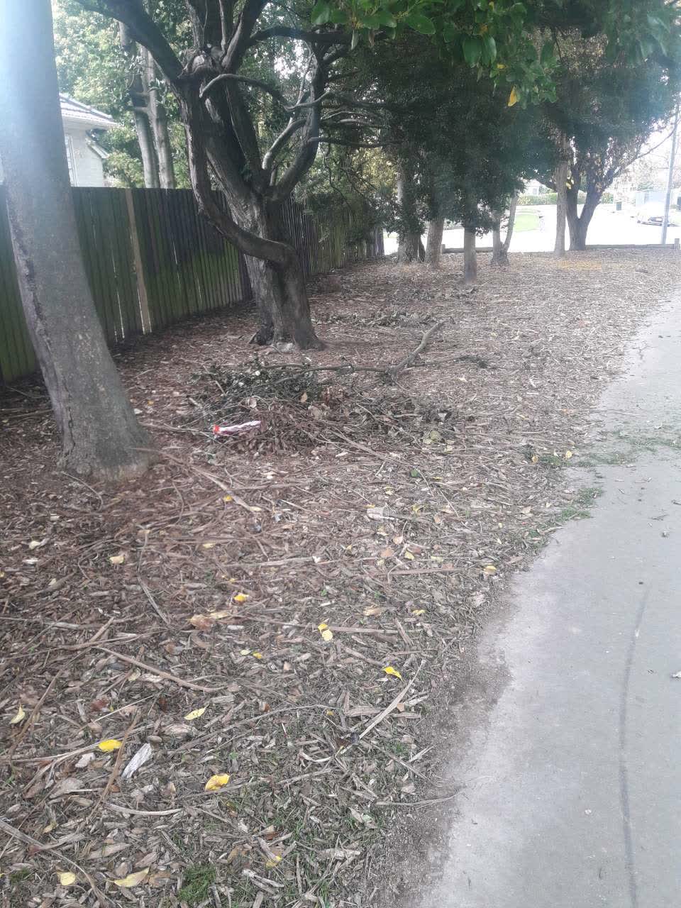 The photograph attached to this parks report