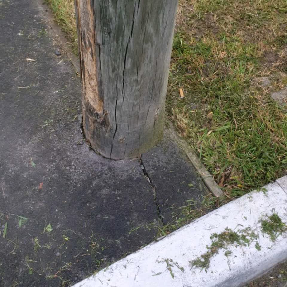 The photograph attached to this roading/streets report