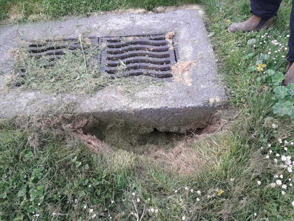 The photograph attached to this parks report