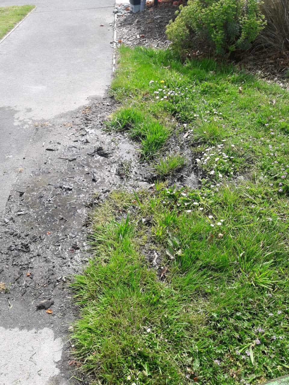 The photograph attached to this water supply report