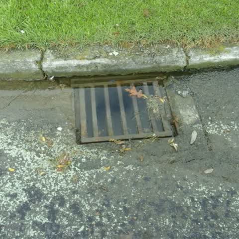 Wastewater/Stormwater, a report photo