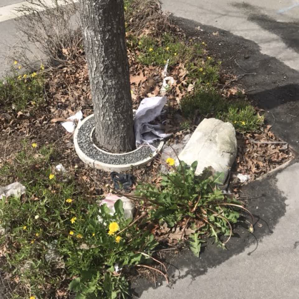 The photograph attached to this roading/streets report