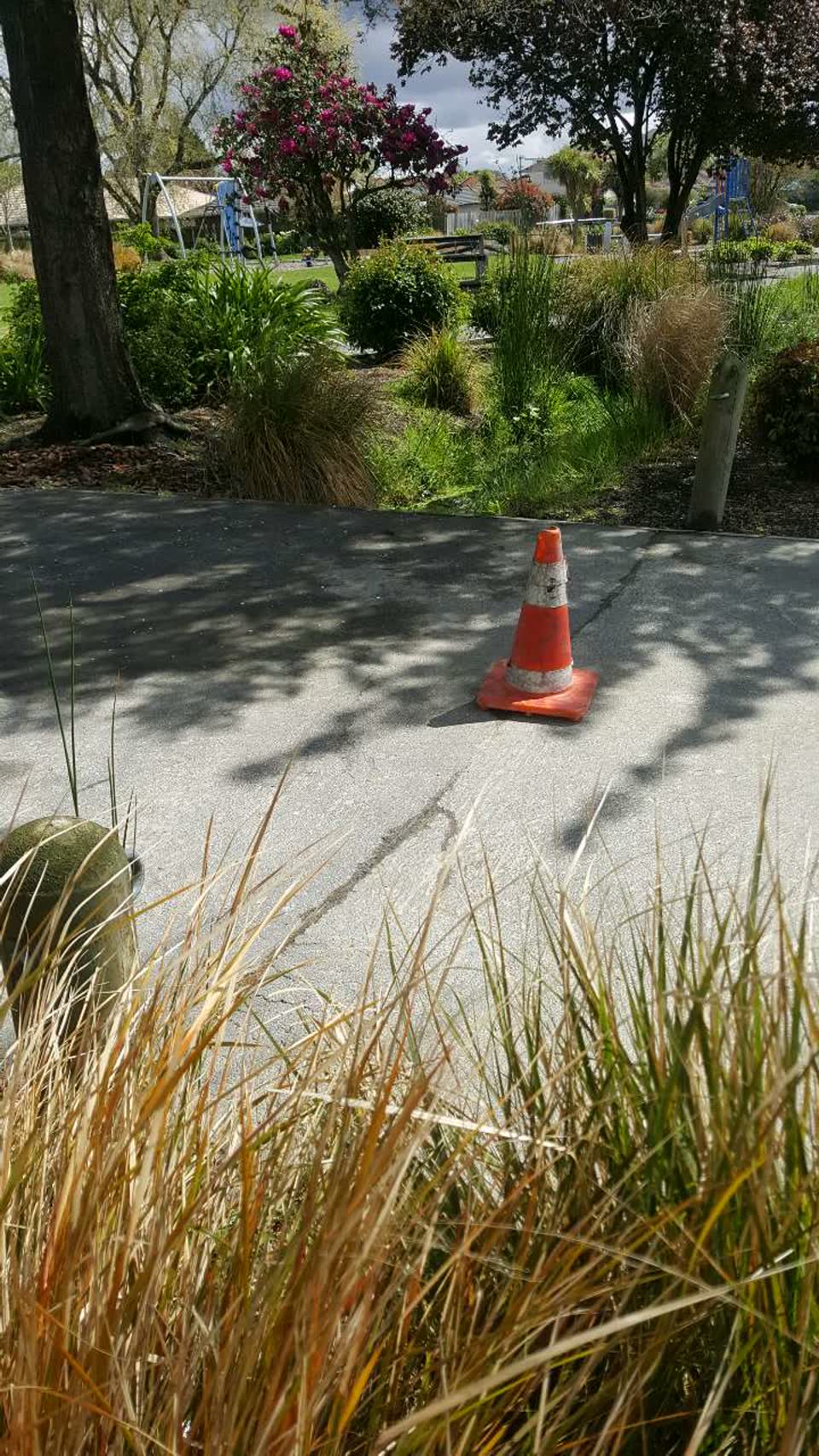 The photograph attached to this parks report