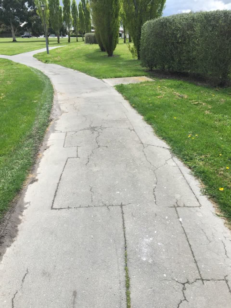 The photograph attached to this parks report