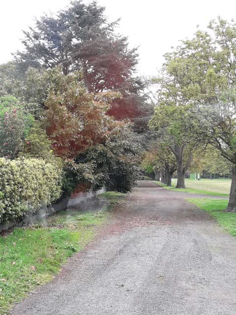 Parks — a report photo