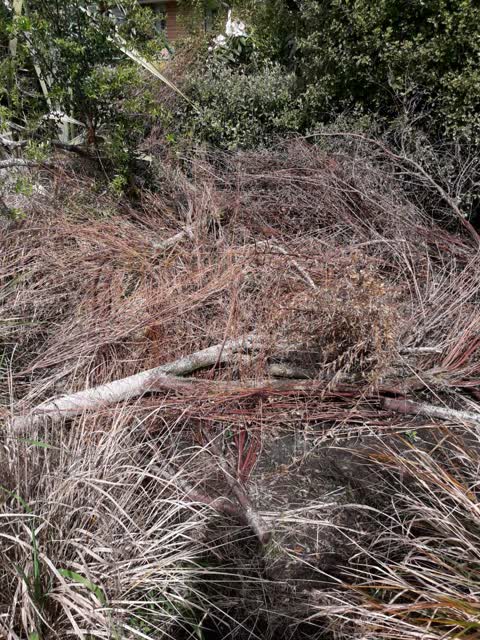 Parks, a report photo