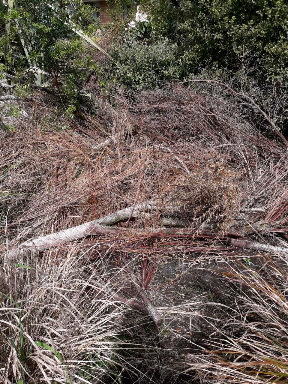 The photograph attached to this parks report