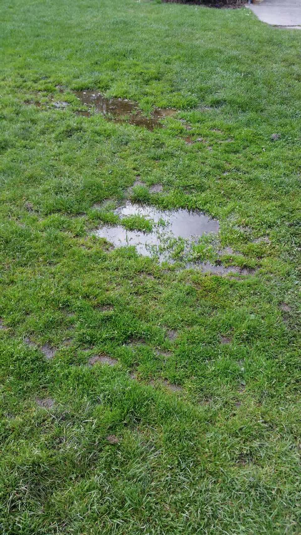 The photograph attached to this parks report