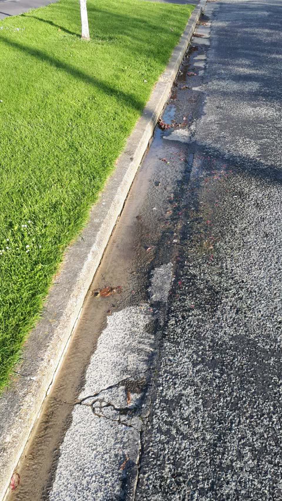 The photograph attached to this water supply report