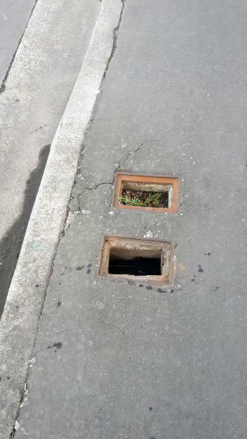 Roading/Streets, a report photo
