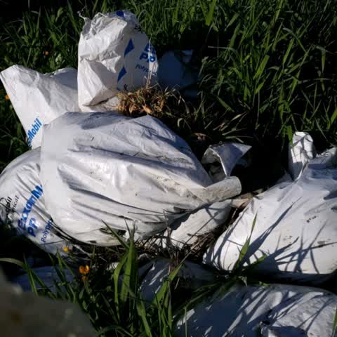 Rubbish/Recycling — a report photo