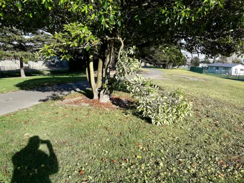 Parks, a report photo