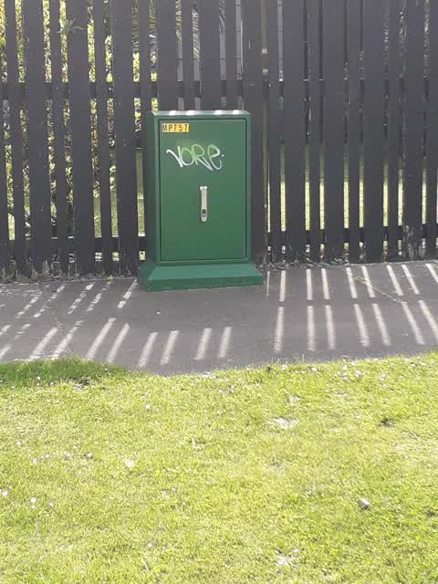 Graffiti, a report photo