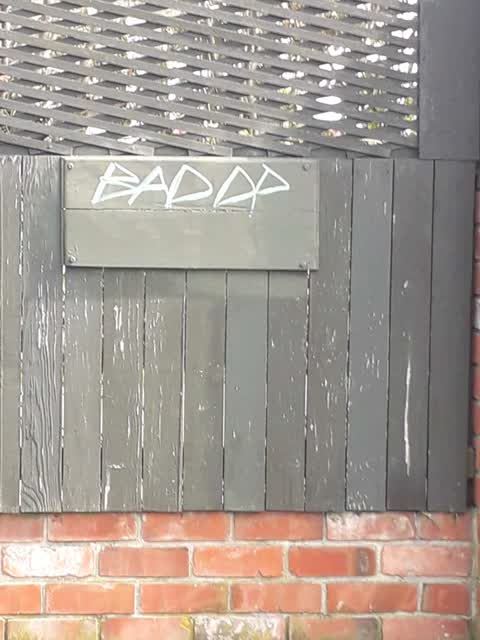 Graffiti, a report photo