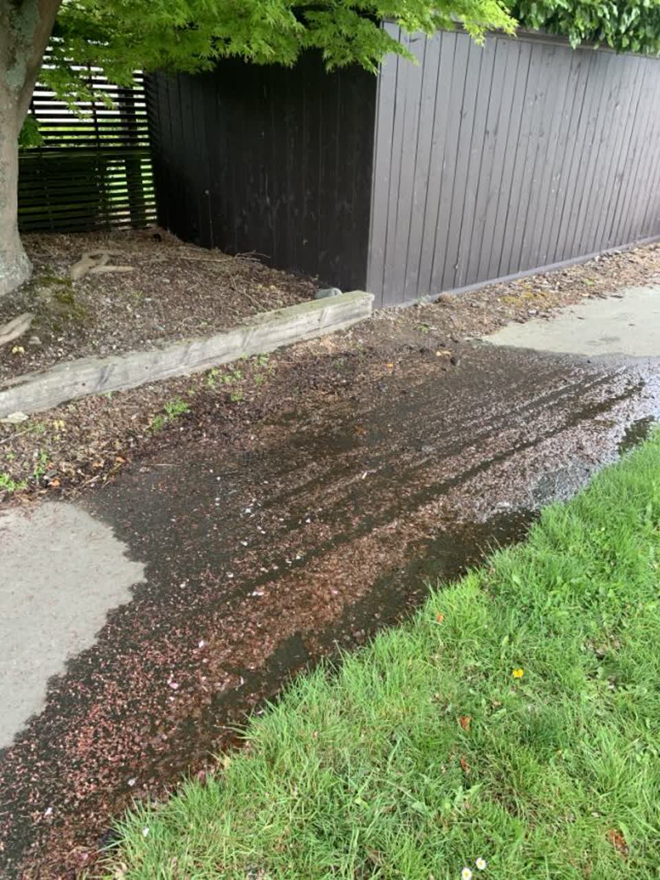 The photograph attached to this flooding report