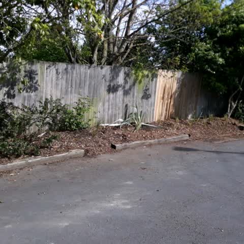 Parks, a report photo