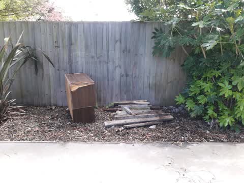 Rubbish/Recycling — a report photo