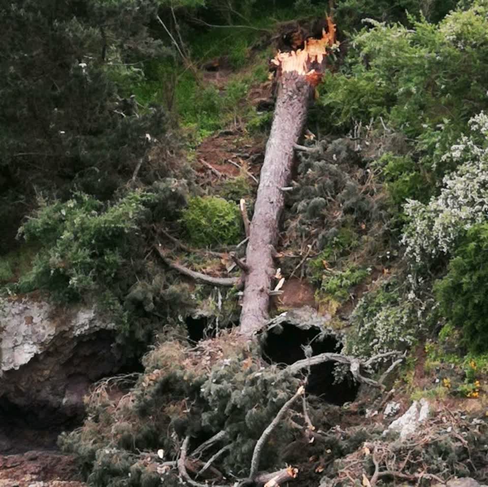 The photograph attached to this parks report