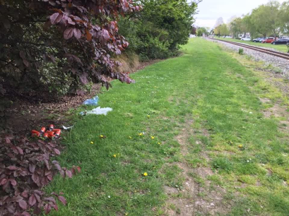 The photograph attached to this rubbish/recycling report
