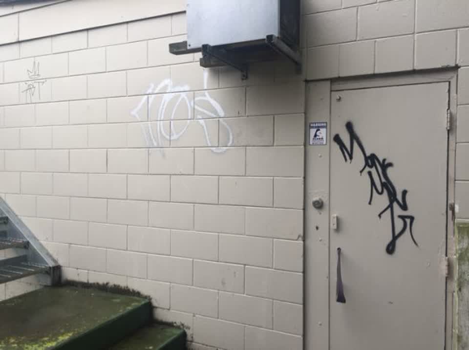 The photograph attached to this graffiti report