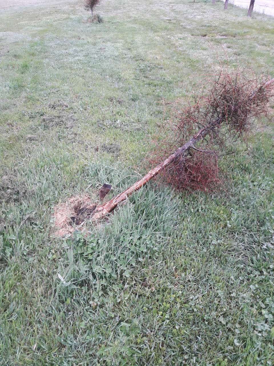 The photograph attached to this parks report